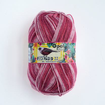 Opal Regenwald 22