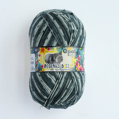 Opal Regenwald 22
