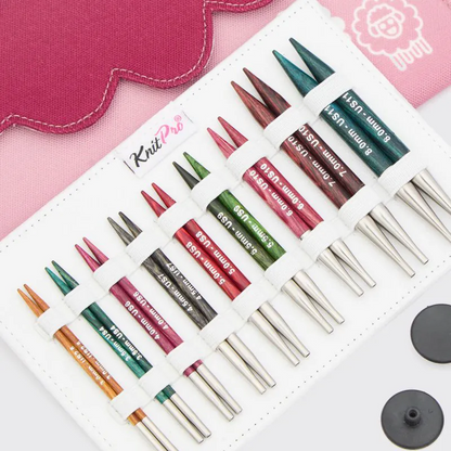 Dreamz Deluxe Special Interchangeable Needle Sets - 10cm (4”)