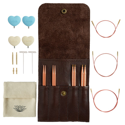 ALPS Starter Interchangeable Circular Needles Set
