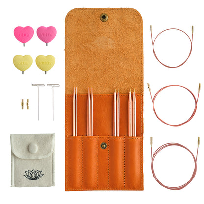ALPS Starter Interchangeable Circular Needles Set