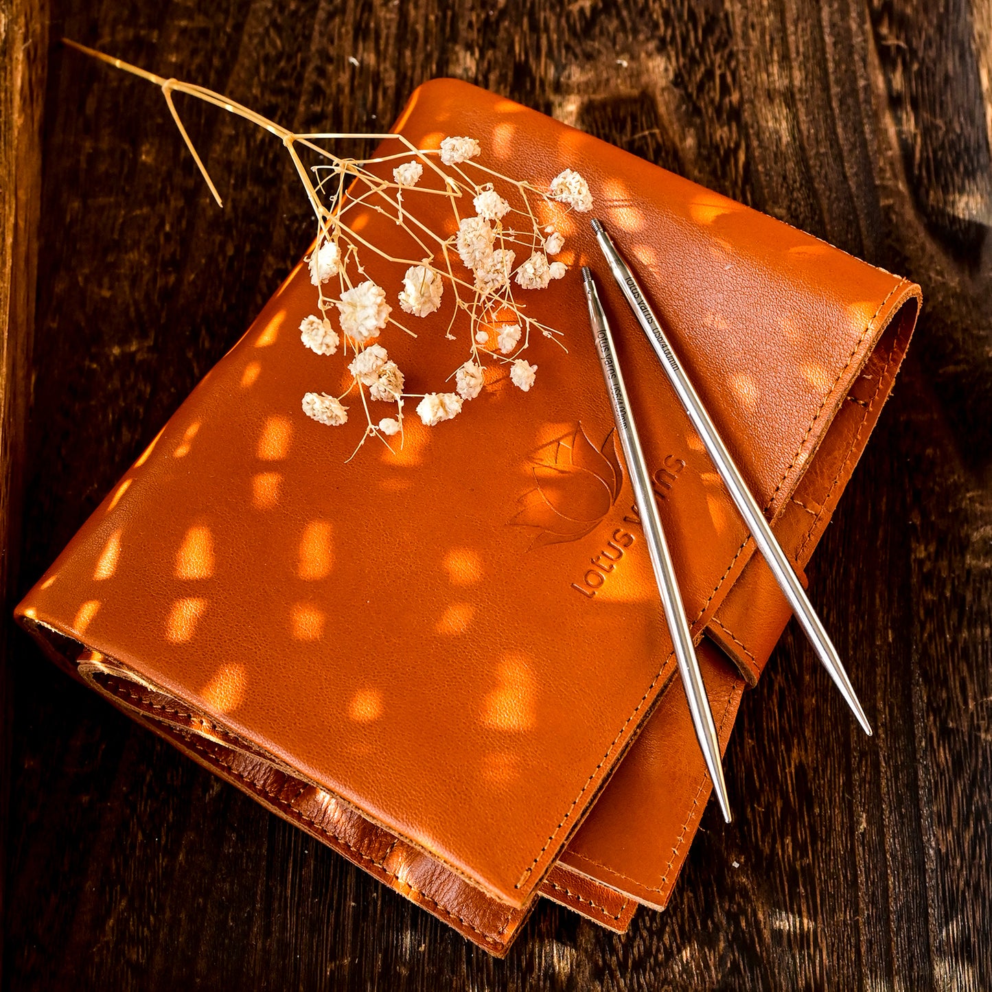 PAMIR 5 Regal Interchangeable Circular Needles Set