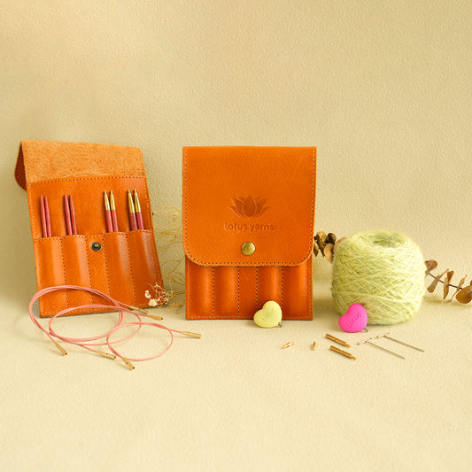 SAHARA Starter Interchangeable Circular Needles Set