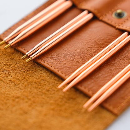 ALPS 5 Starter Interchangeable Circular Needles Set