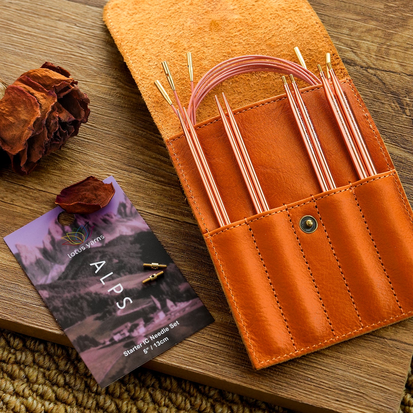 ALPS 5 Starter Interchangeable Circular Needles Set