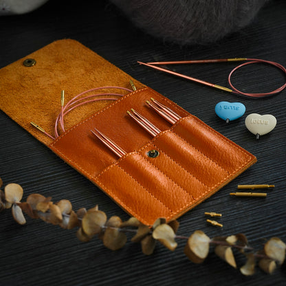ALPS Starter Interchangeable Circular Needles Set