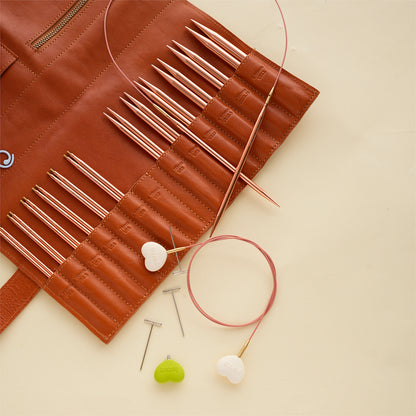 ALPS 5 Regal Interchangeable Circular Needles Set