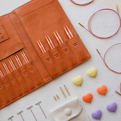ALPS 3.5‘’ Interchangeable Circular Needles Set