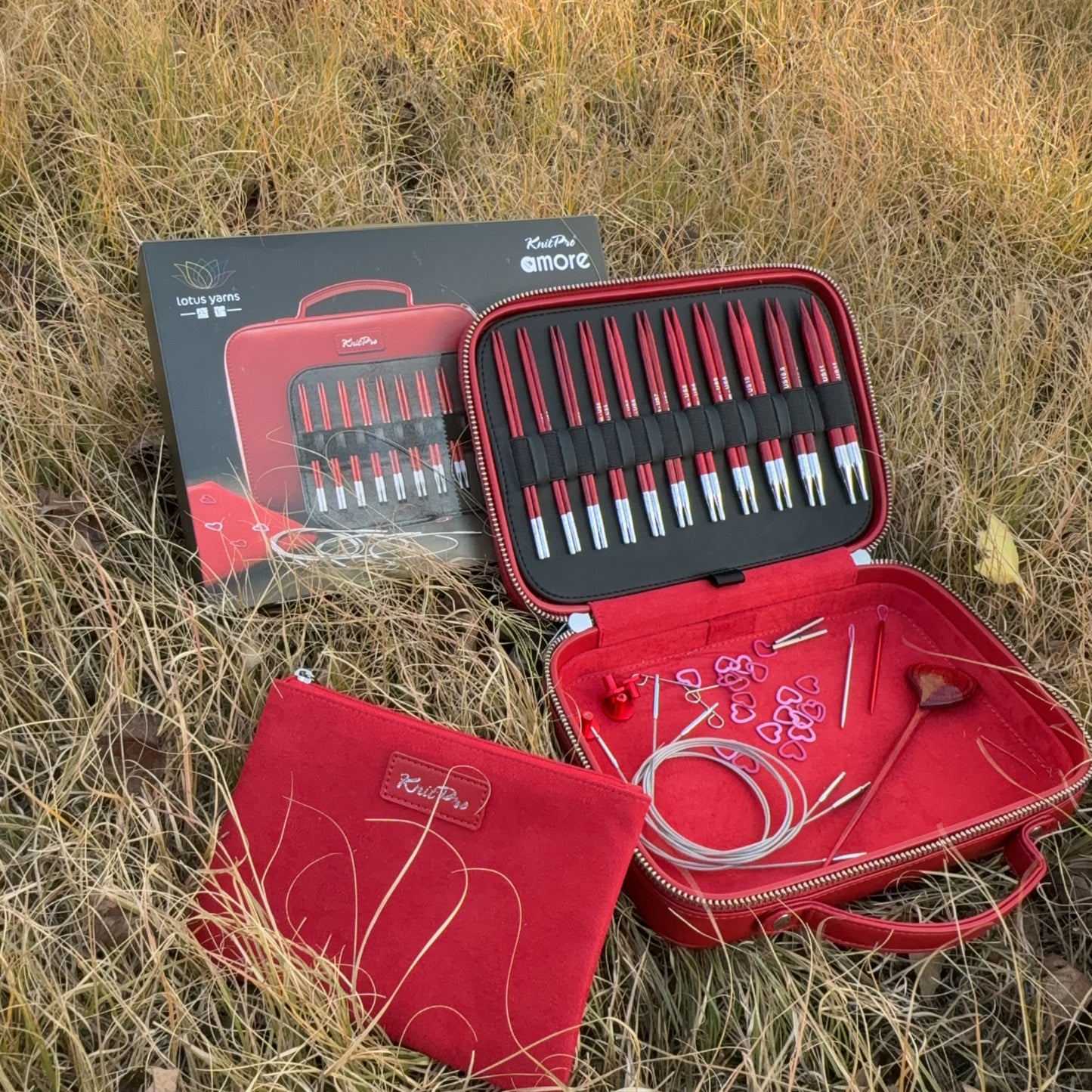 Amore 5'' Interchangeable Circular Needles Gift Set