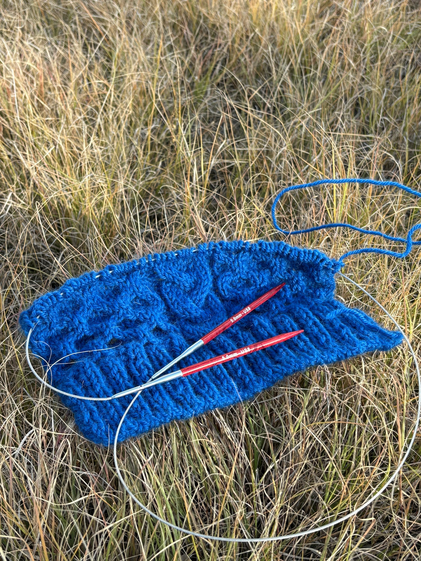 Amore 5'' Interchangeable Circular Needles Gift Set