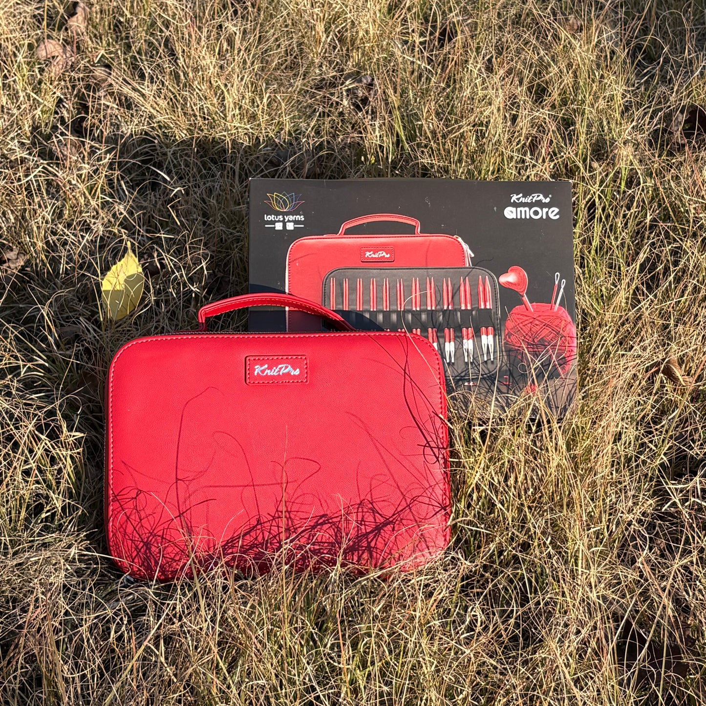 Amore 5'' Interchangeable Circular Needles Gift Set